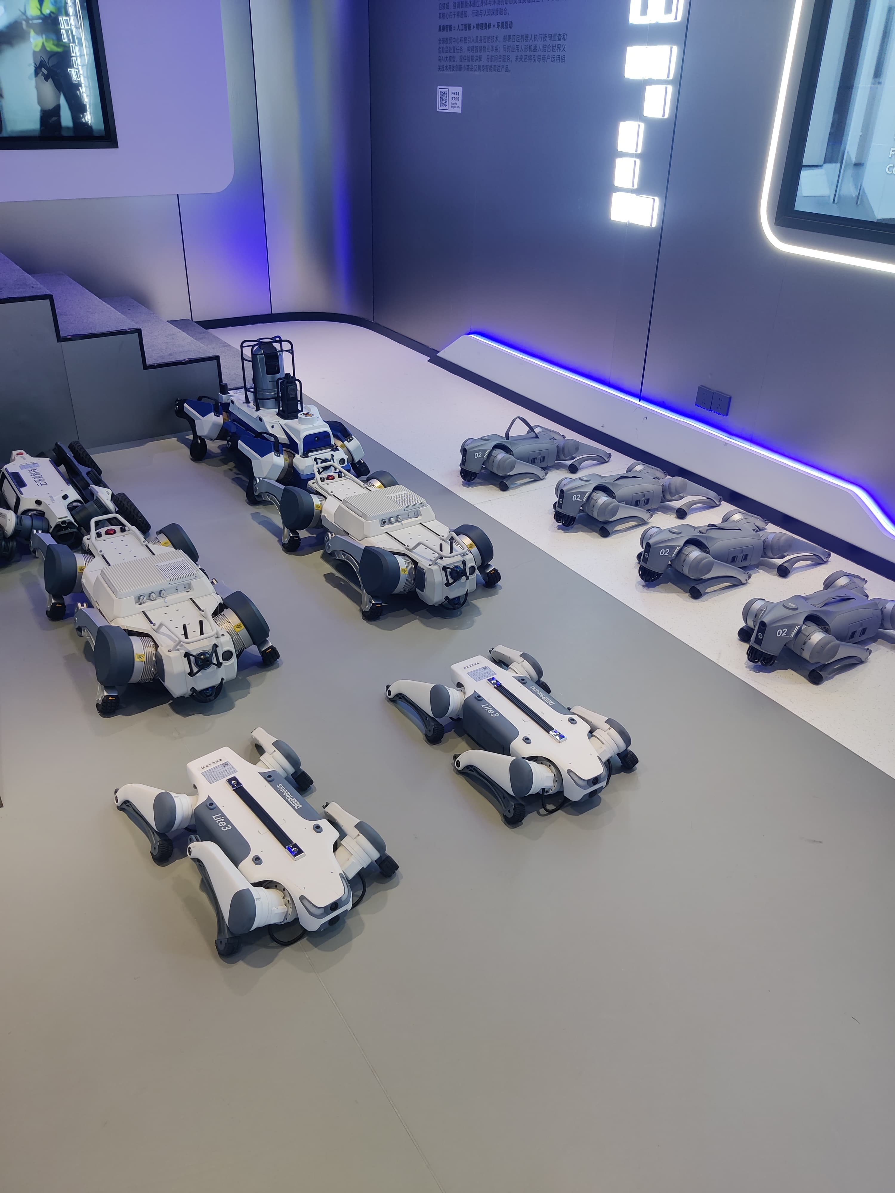 A showroom floor of quadruped robots