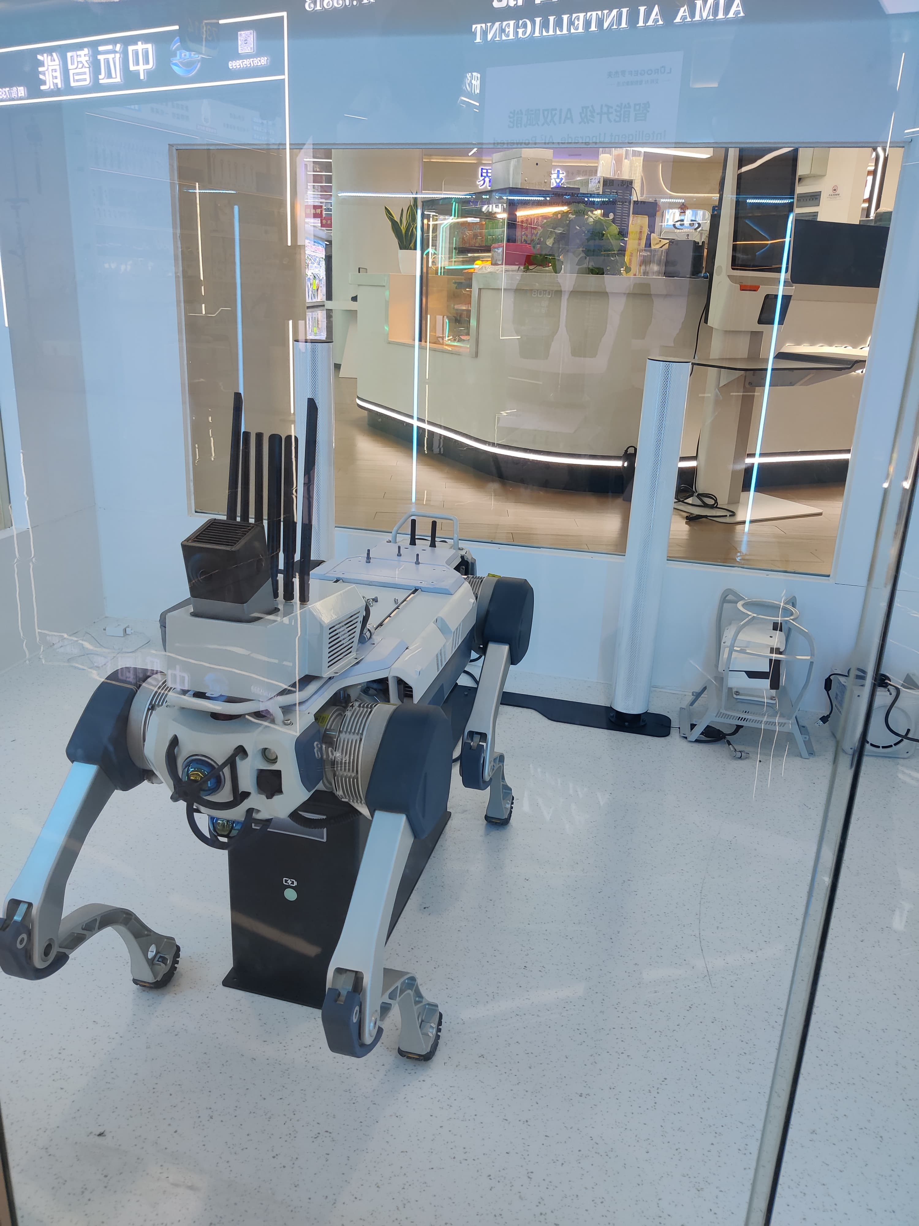 A quadruped robot on display at an AI technology showroom